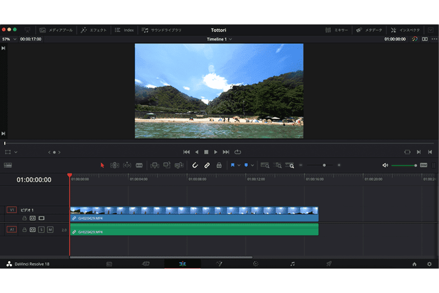 Davinci Resolve