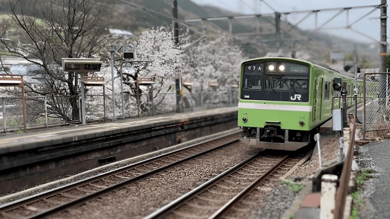 【鉄道×桜】大和路線の隠された鉄道撮影スポット「河内堅上駅」