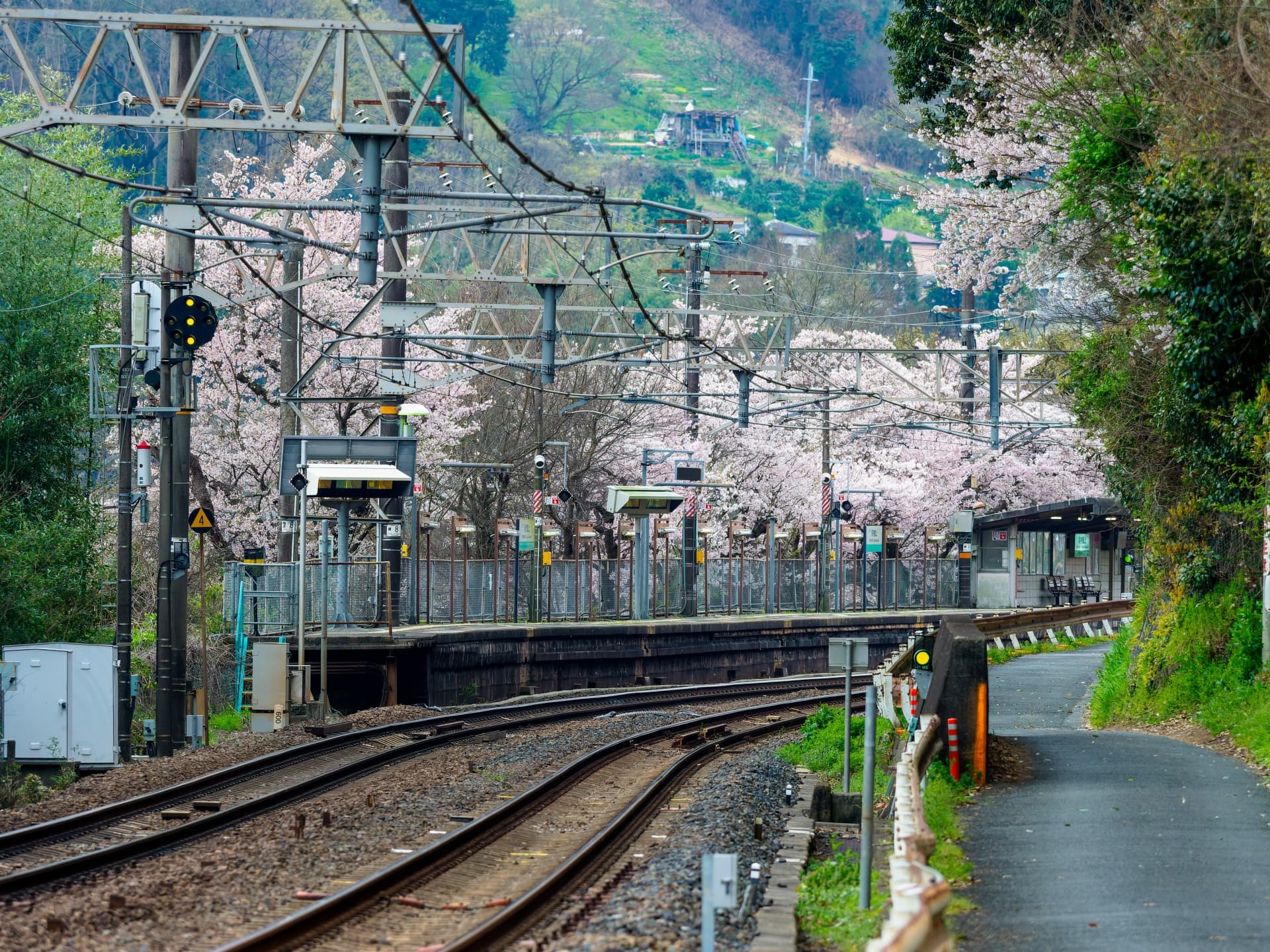 遠くから見た河内堅上駅ホーム。